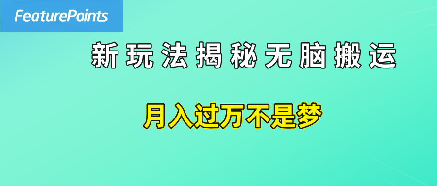 简单操作,每天50美元收入,搬运就是赚钱的秘诀【揭秘】